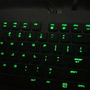 Meet your Posher, Gavin